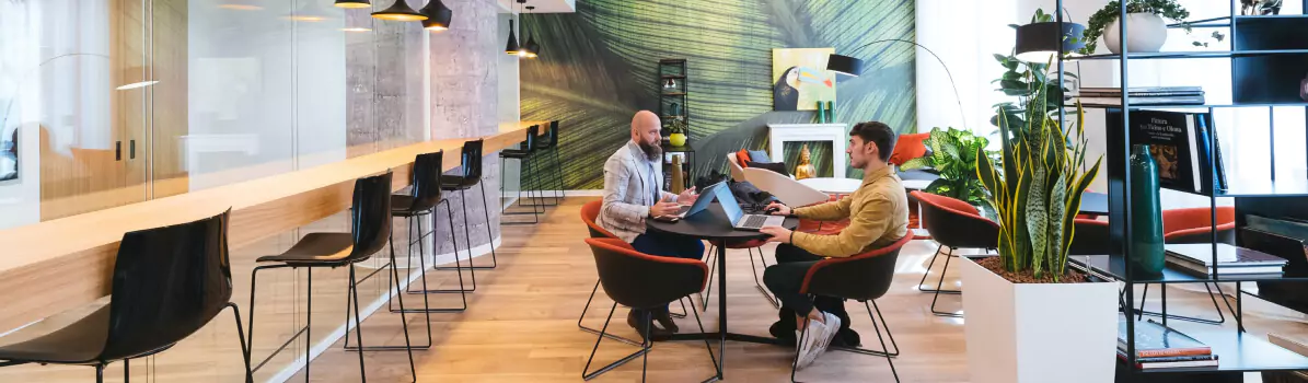 creazione siti e gestione social agenzia potenza melfi matera