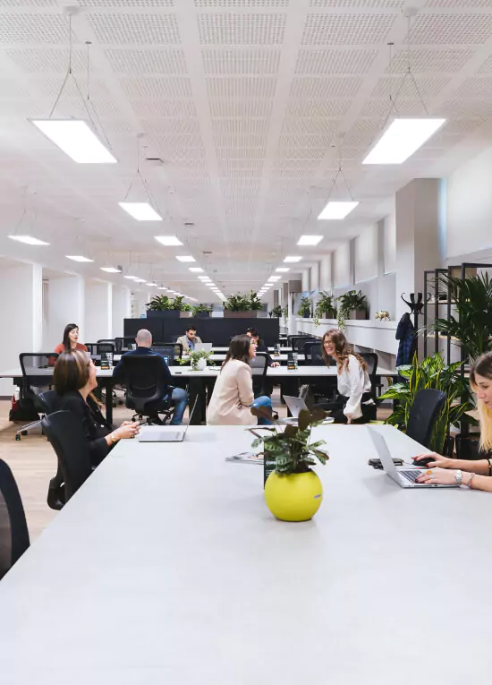 digital agency potenza