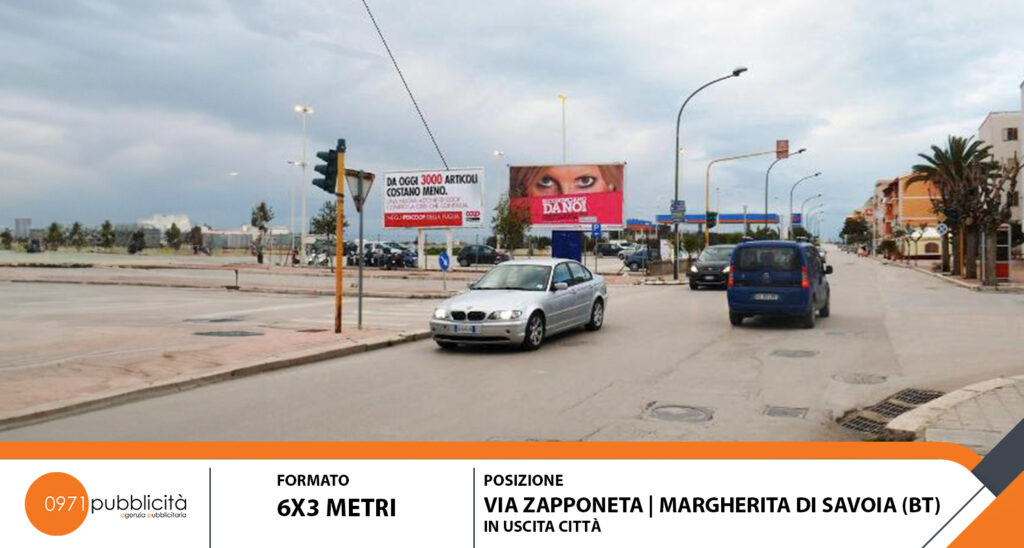 SAN FERDINANDO DI PUGLIA | VIA DEGLI ULIVI (DI FRONTE INGRESSO LIDL) | POSTER 6X3